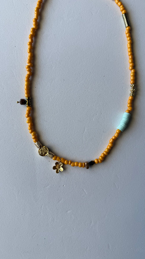 AMBER BLOOM